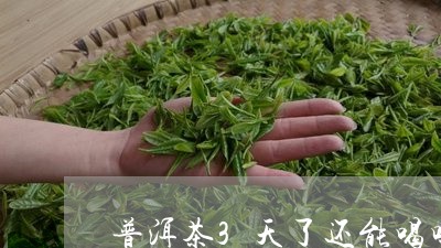 普洱茶3天了还能喝吗/2023092663936