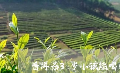 普洱茶3岁小孩能喝吗/2023093092714