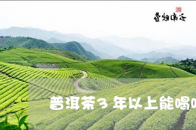 普洱茶3年以上能喝吗/2023092782514