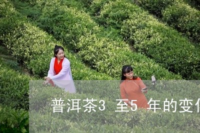 普洱茶3至5年的变化/2023092851415