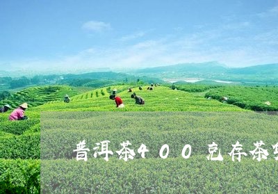 普洱茶400克存茶袋/2023101774037