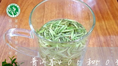 普洱茶405和503/2023100868596