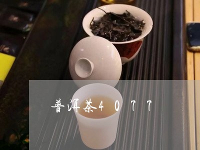 普洱茶4077/2023120373727