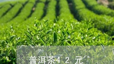 普洱茶42元/2023042740120