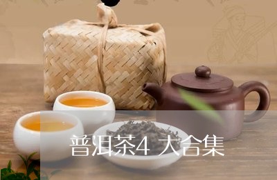 普洱茶4大合集/2023082973037