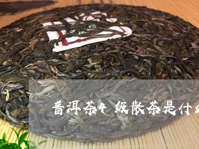 普洱茶4级散茶是什么茶/2023101738471