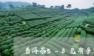 普洱茶5-8克有多少/2023092796149