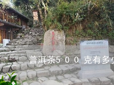 普洱茶500克有多少/2023100620603