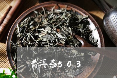 普洱茶503/2023042883817