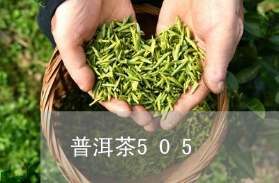 普洱茶505/2023102592038