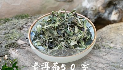 普洱茶50字/2023042660206