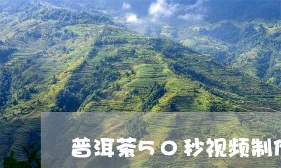 普洱茶50秒视频制作大全/2023121659402