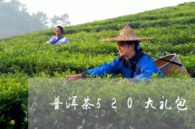 普洱茶520大礼包/2023120563724