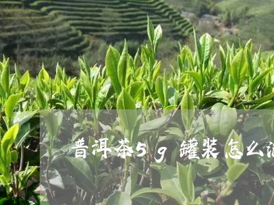 普洱茶5g罐装怎么泡好喝/2023110436361