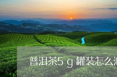 普洱茶5g罐装怎么泡的/2023110390603