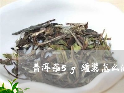 普洱茶5g罐装怎么泡茶/2023110359683