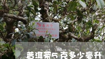 普洱茶5克多少毫升/2023112778614