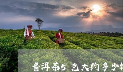 普洱茶5克大约多少钱啊/2023082772704