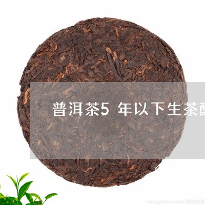 普洱茶5年以下生茶醒茶法/2023110214947