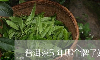 普洱茶5年哪个牌子好/2023062476057