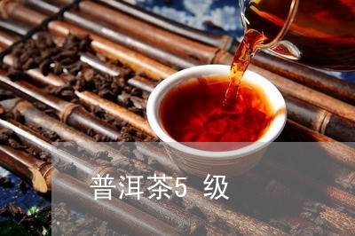 普洱茶5级/2023090652826