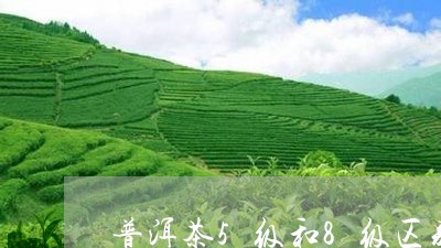 普洱茶5级和8级区别/2023093081814