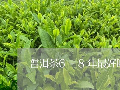 普洱茶6-8年最好喝/2023072295159