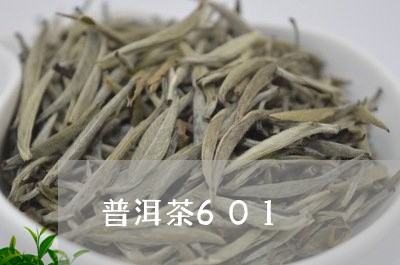 普洱茶601/2023042842182