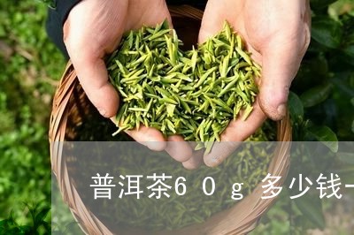 普洱茶60g多少钱一斤/2023120779583