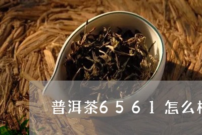 普洱茶6561怎么样/2023100785956