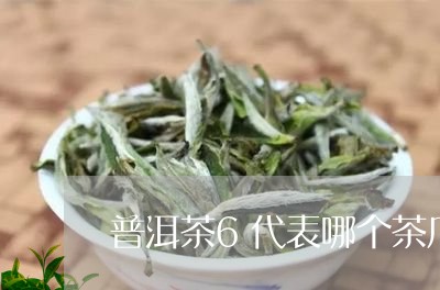 普洱茶6代表哪个茶厂/2023092962706