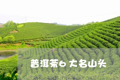 普洱茶6大名山头/2023082959595