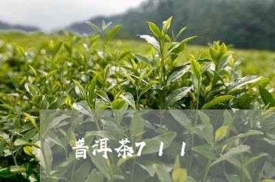 普洱茶711/2023081805948