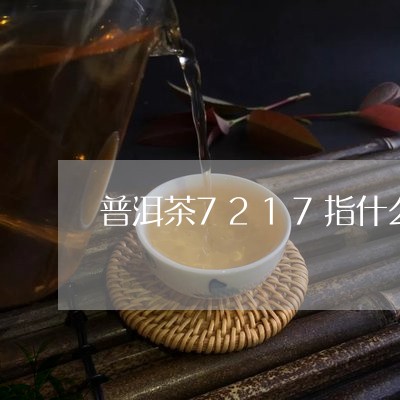 普洱茶7217指什么/2023100810502