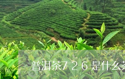 普洱茶726是什么茶/2023062845259