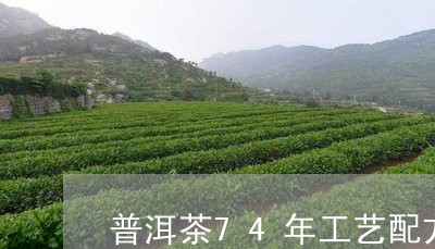 普洱茶74年工艺配方/2023080259392