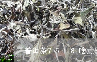 普洱茶7518啥意思/2023062852837