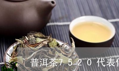 普洱茶7520代表什么/2023122041914