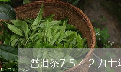 普洱茶7542九七年/2023080123067