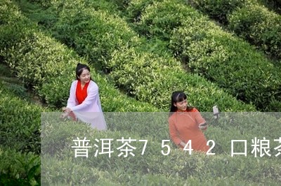 普洱茶7542口粮茶/2023100734826