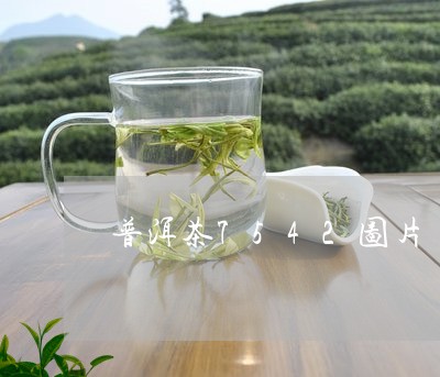 普洱茶7542图片/2023070963151