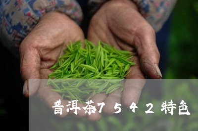 普洱茶7542特色/2023070975957