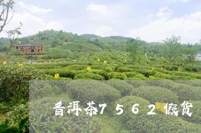 普洱茶7562假货/2023091469715