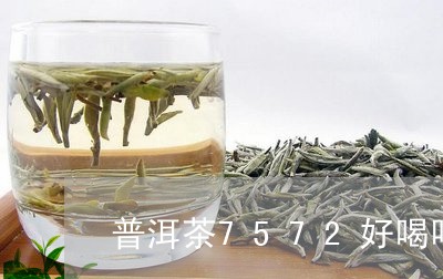 普洱茶7572好喝吗/2023062882604