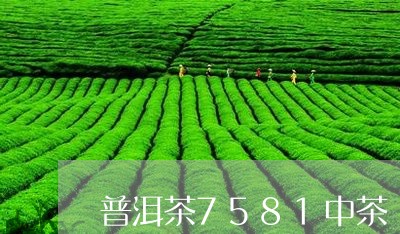 普洱茶7581中茶/2023120475937