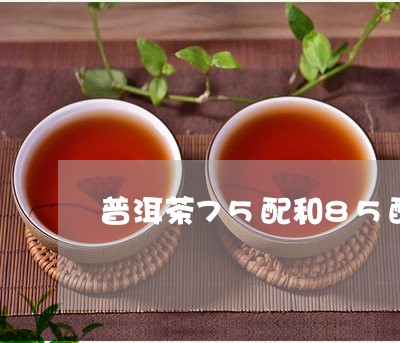 普洱茶75配和85配方/2023122052505