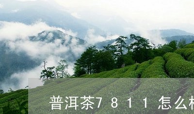 普洱茶7811怎么样/2023100777313