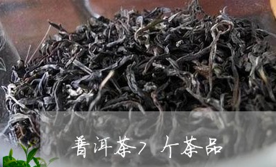 普洱茶7个茶品/2023110639351