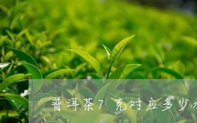 普洱茶7克对应多少水/2023092521827