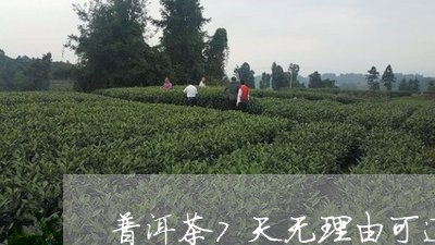 普洱茶7天无理由可退货/2023121641603